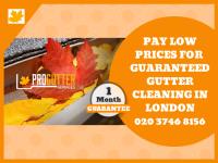 Pro Gutter Services image 1